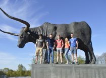 Penki studentai prie jaučio skulptūros
