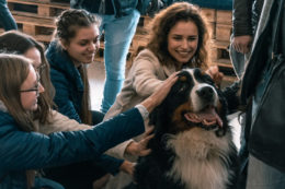 KTU studentai kaniterapijos užsiėmime glosto Berno zenenhundo veislės šunį. Šuo ilgo plauko, baltos, rudos ir juodos spalvos.