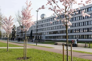 Sakuros KTU Studentų miestelyje