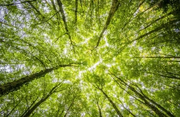 Muzika – kelias į klimato sąmoningumo ugdymą?