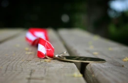 KTU studentui &ndash; Europos jaunimo čempionato bronza