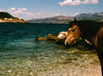 KTU parodoje – studento sugrįžimas į tėvo gimtinę Kroatijos saloje