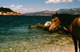 KTU parodoje – studento sugrįžimas į tėvo gimtinę Kroatijos saloje