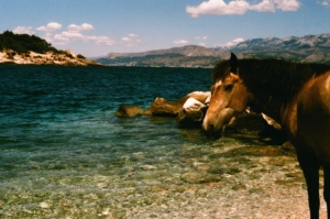 KTU parodoje – studento sugrįžimas į tėvo gimtinę Kroatijos saloje