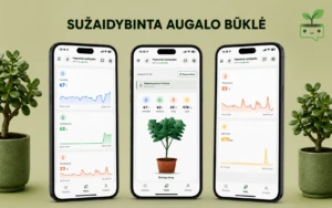 Programėlės turinys Programėlės turinys